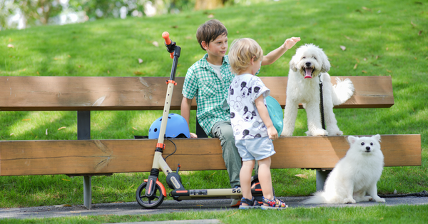 Trottinette Électrique Enfant 11 Ans : Guide des Meilleurs Modèles isinwheel