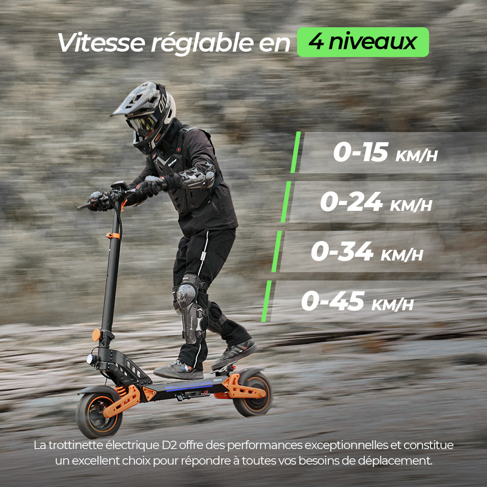 D2/D2plus Trottinette électrique tout-terrain 1000 W