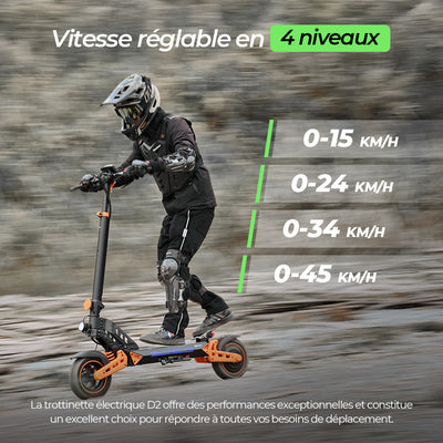 D2/D2plus Trottinette électrique tout-terrain 1000 W