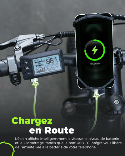 M60 Vélo électrique tout-terrain à gros pneus 750W