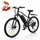 EB3 Vélo électrique tout-terrain pour la navette ou le hors-piste