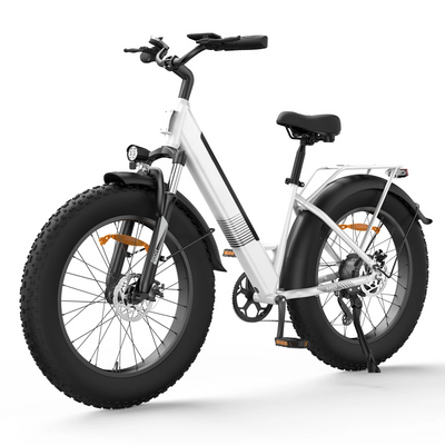 M60 Vélo électrique tout-terrain à gros pneus 750W