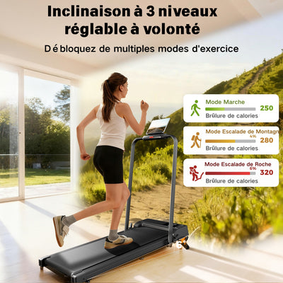 JT52 Tapis de course 2 en 1