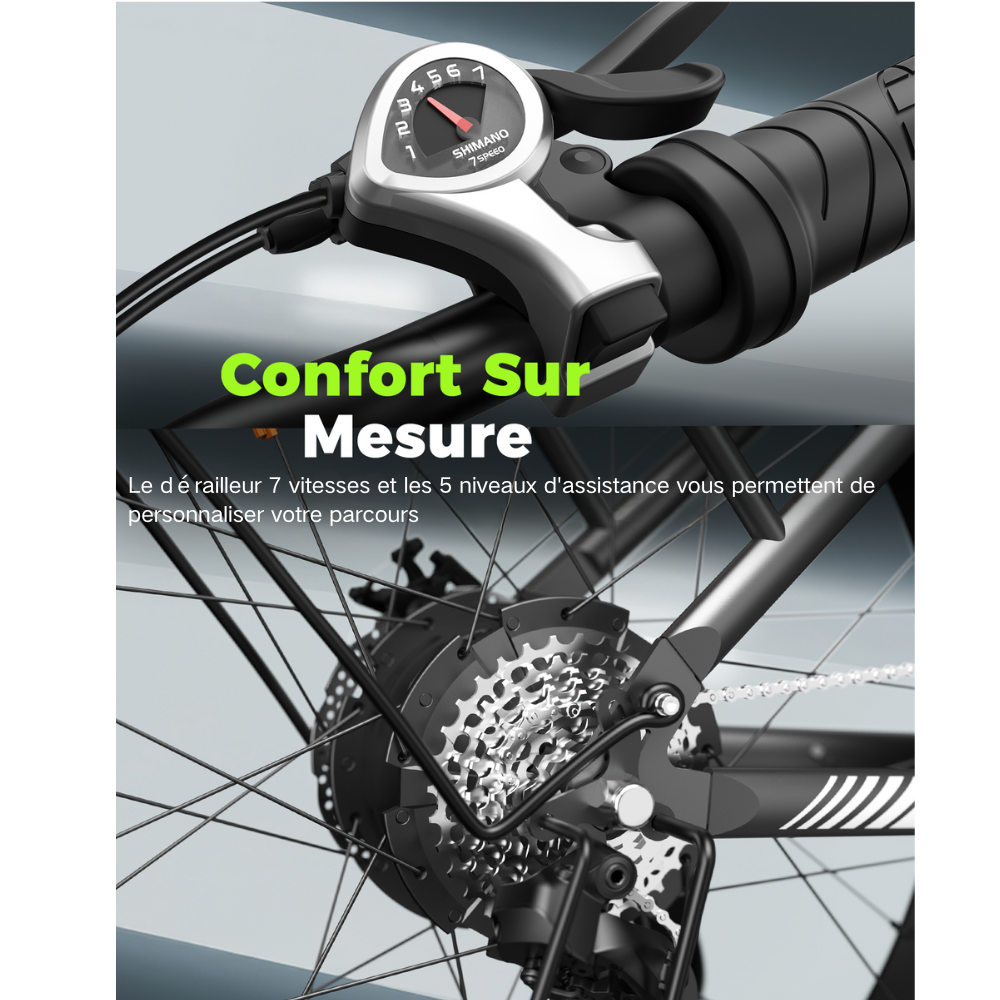 M60 Vélo électrique tout-terrain à gros pneus 750W