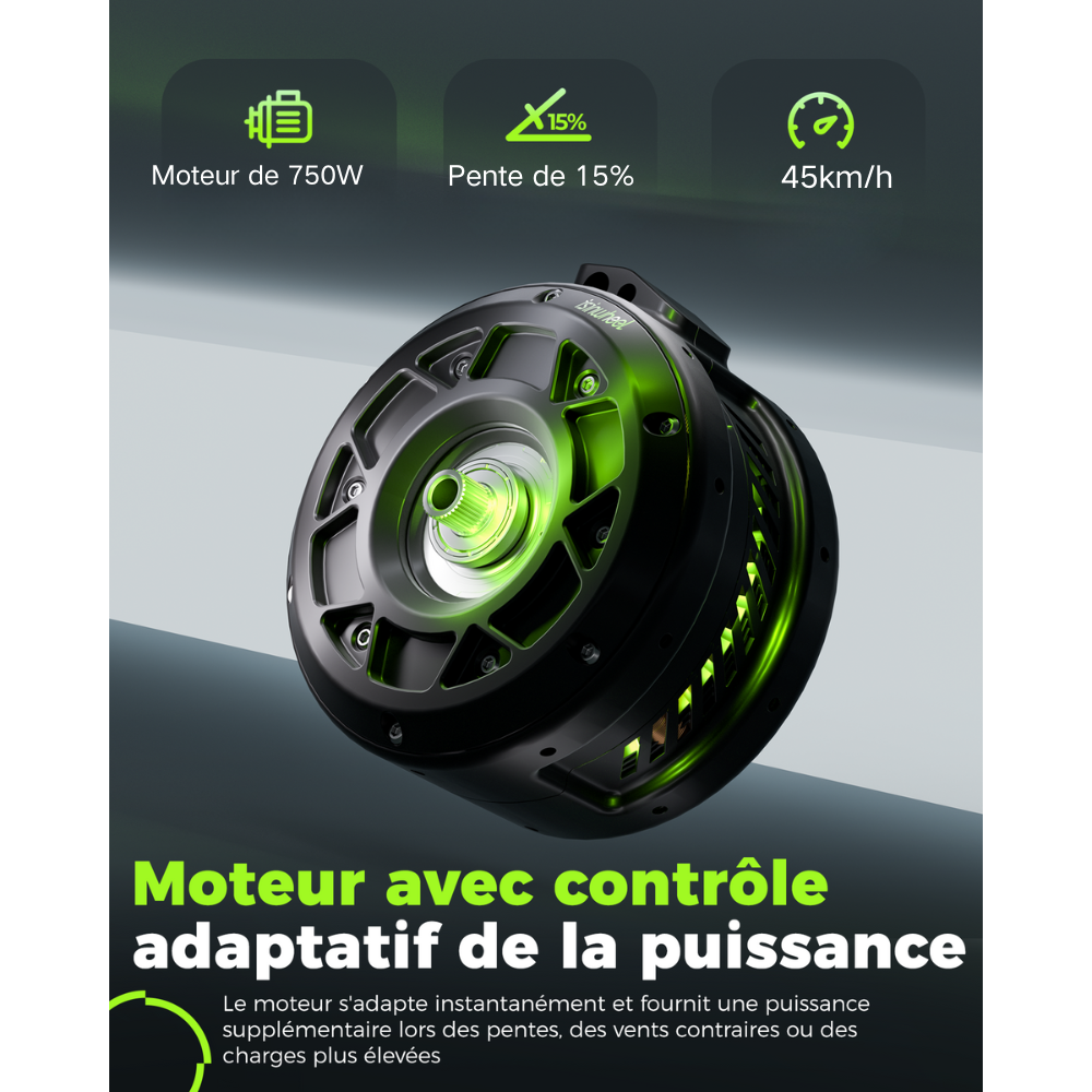 M60 Vélo électrique tout-terrain à gros pneus 750W