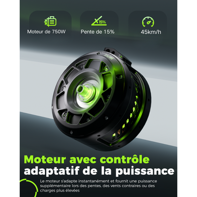 M60 Vélo électrique tout-terrain à gros pneus 750W