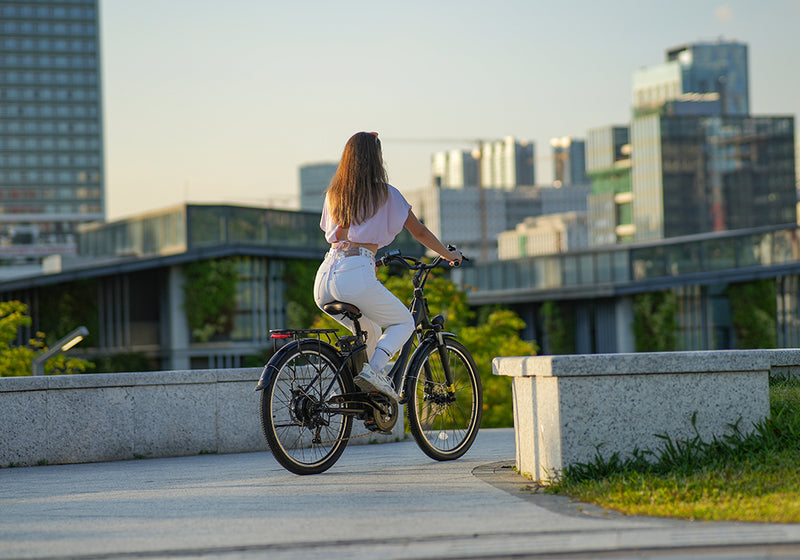 vélo électrique 25km/h